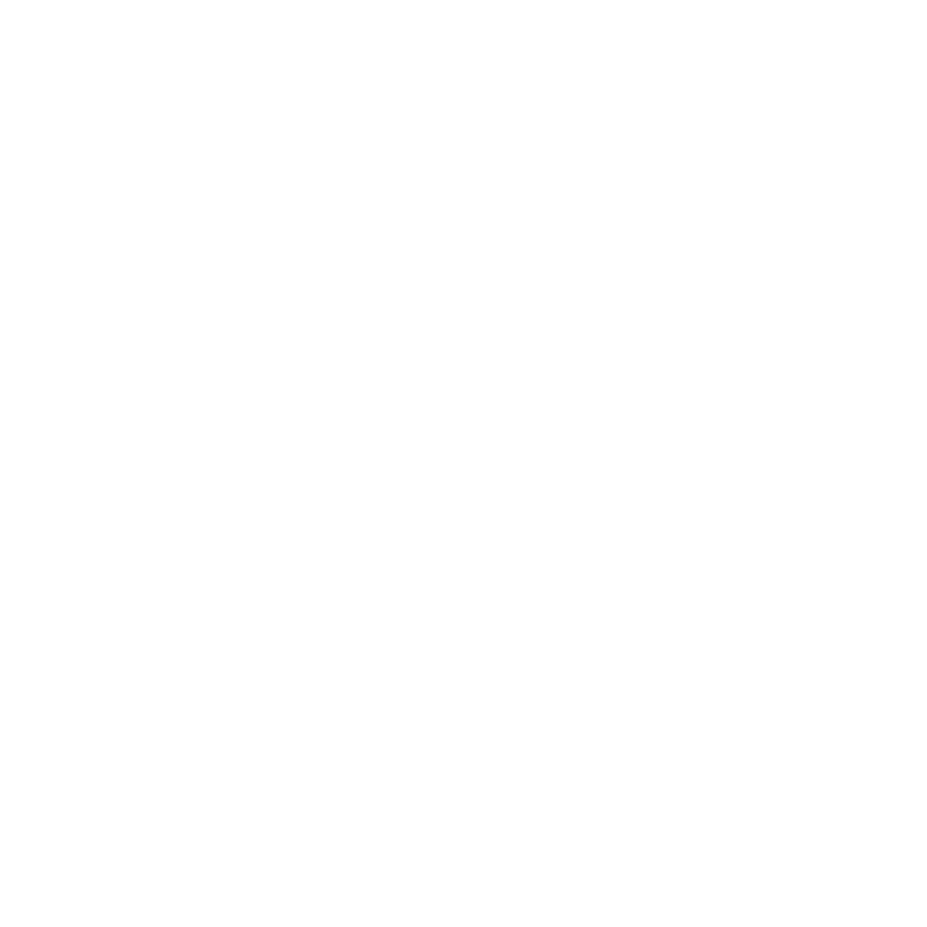 Weißes ALYXON X-Signet
